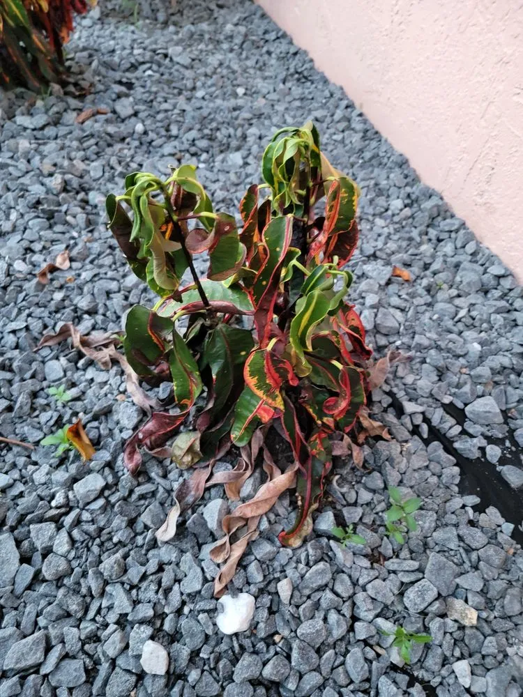 Reliable landscape design experts serving Fort Lauderdale, FL - Unique design & landscaping services