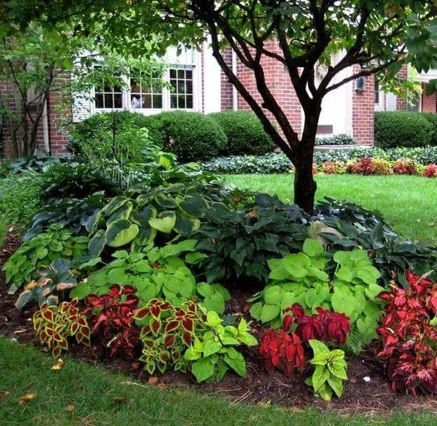 Affordable residential landscaping in Fort Lauderdale, FL - Unique design & landscaping services