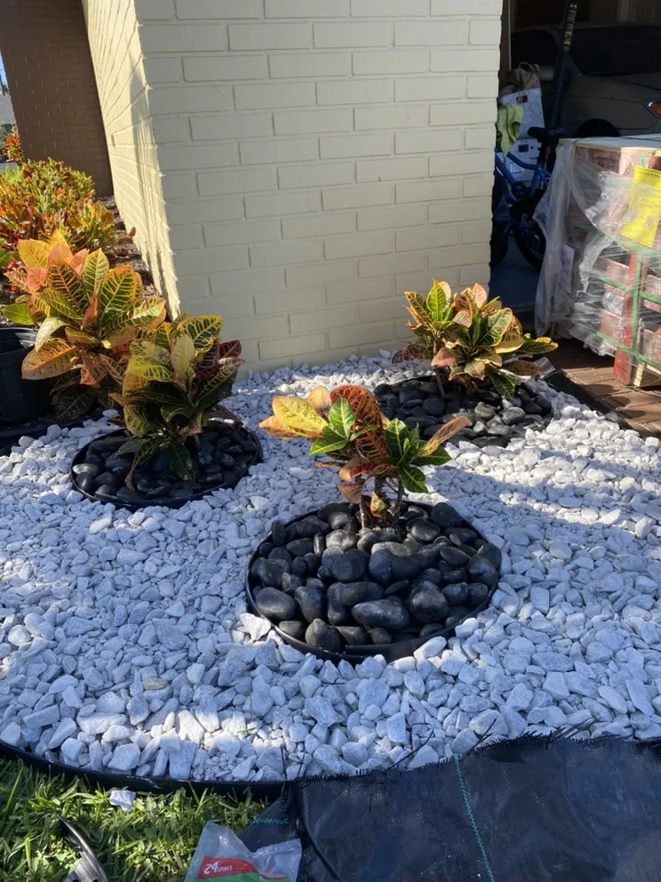 Trusted residential landscaping for year-round maintenance across Fort Lauderdale, FL - Unique design & landscaping services