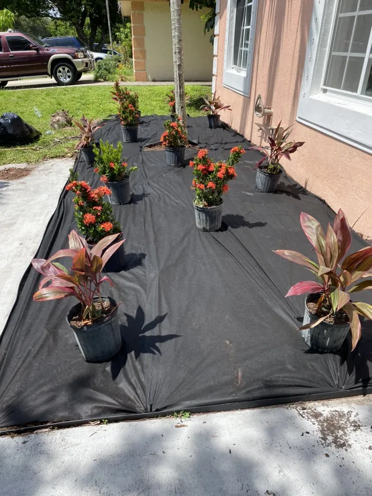 Expert outdoor landscaping for homes across Fort Lauderdale, FL - Unique design & landscaping services