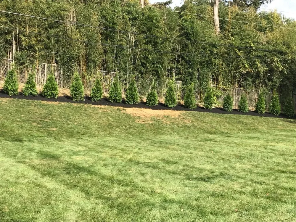 Reliable yard cleanup service for outdoor upgrades across Dresher, PA - Unique Designers and Landscapers