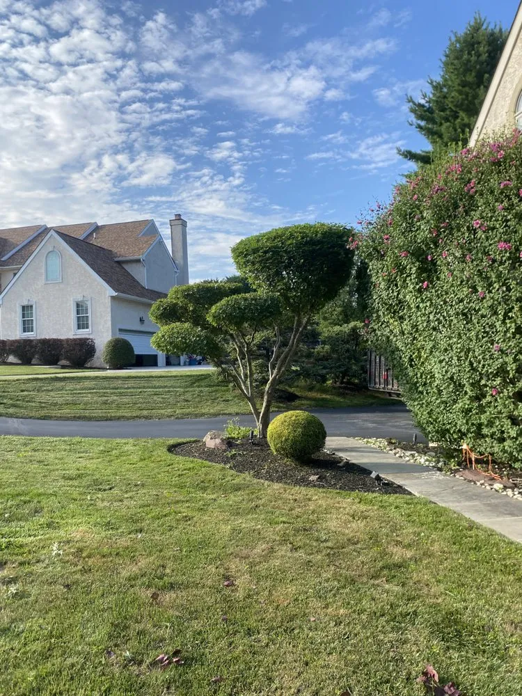 Professional landscape installation in Dresher, PA - Unique Designers and Landscapers