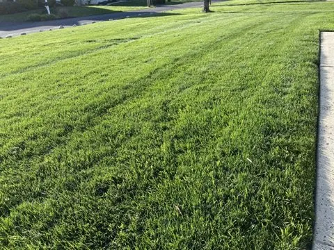 Affordable garden landscaping experts serving Dresher, PA - Unique Designers and Landscapers