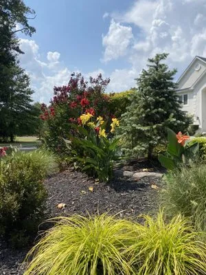 Unique Designers and Landscapers