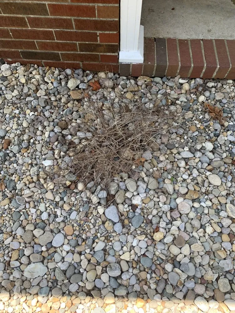 Local landscaping services with custom design in Murray, KY by Unique Designs Nursery & Landscaping