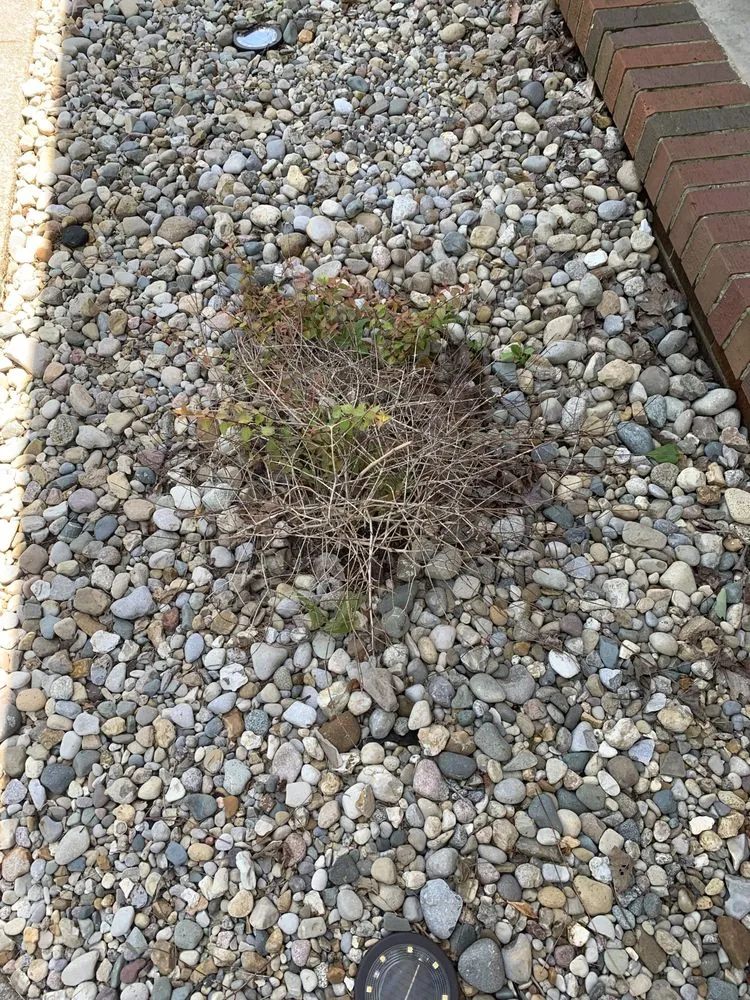 Professional landscape design for residential properties in Murray, KY by Unique Designs Nursery & Landscaping