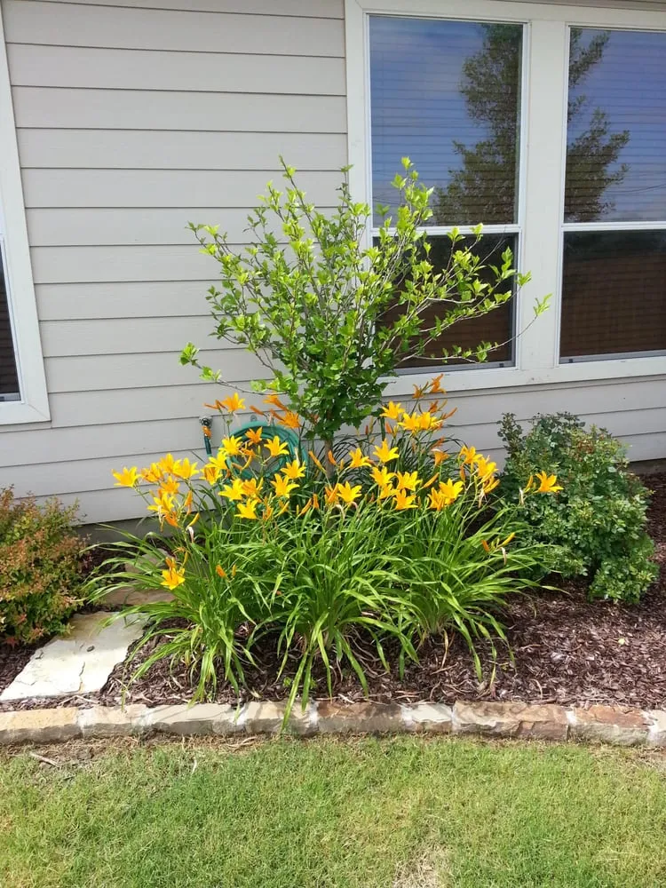 Professional landscape design in North Lake, TX by Unique Exteriors