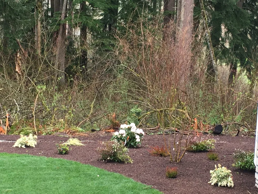 Custom landscaping services in Maple Valley, WA - Unique Gardens