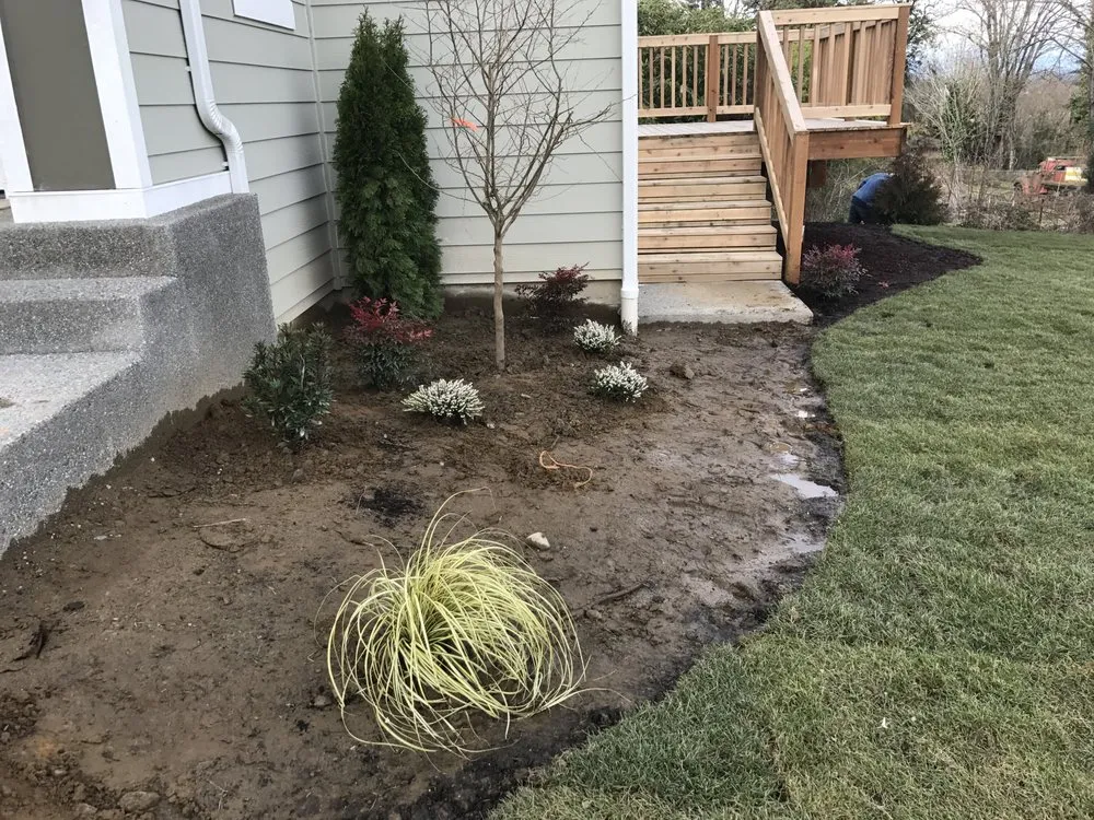 Trusted lawn mowing service experts serving Maple Valley, WA - Unique Gardens