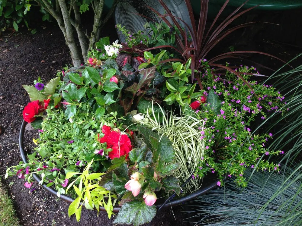 Trusted landscaping services with custom design across Maple Valley, WA - Unique Gardens
