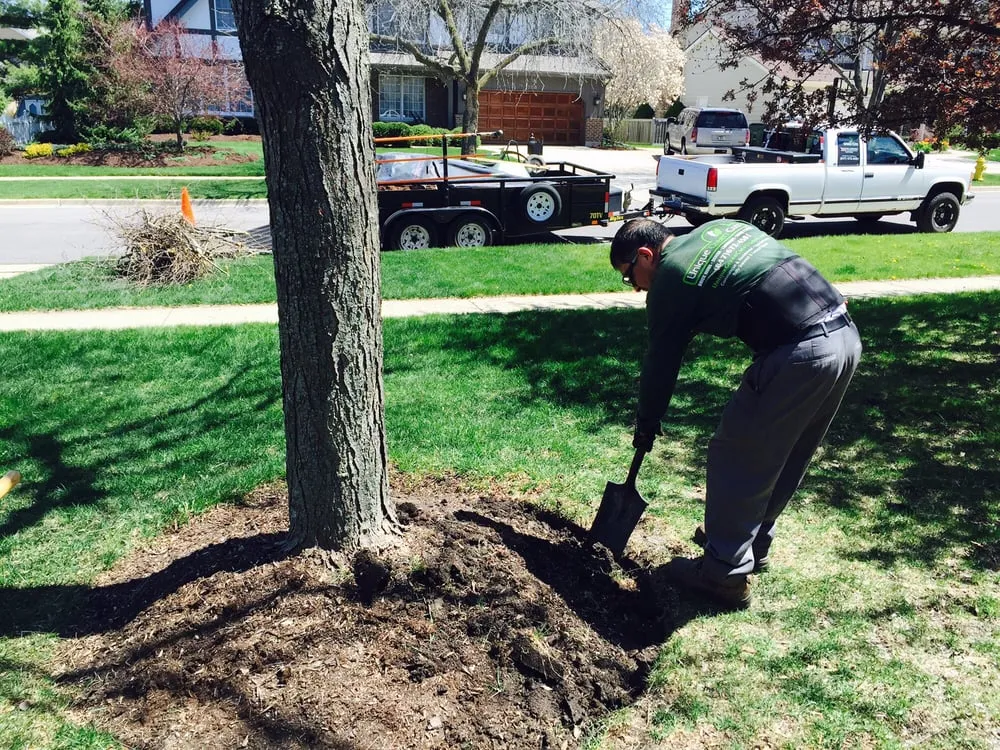 Professional garden landscaping in Waukegan, IL by Unique Green Cuts Landscape & Design