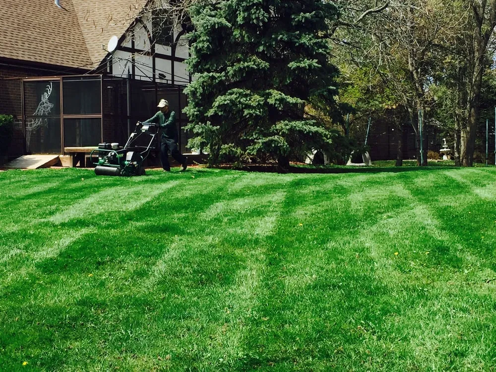 Custom lawn care service in Waukegan, IL - Unique Green Cuts Landscape & Design