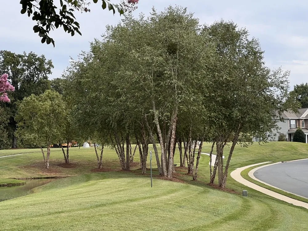 Local lawn care service in Monroe, NC - Unique Home Improvements