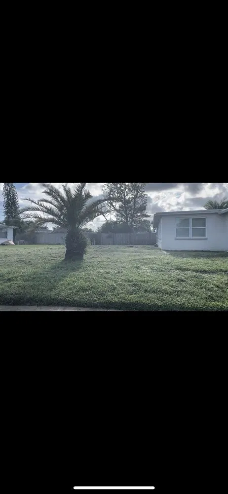 Top-rated yard maintenance in NEW PRT RCHY, FL - Unique Kuts