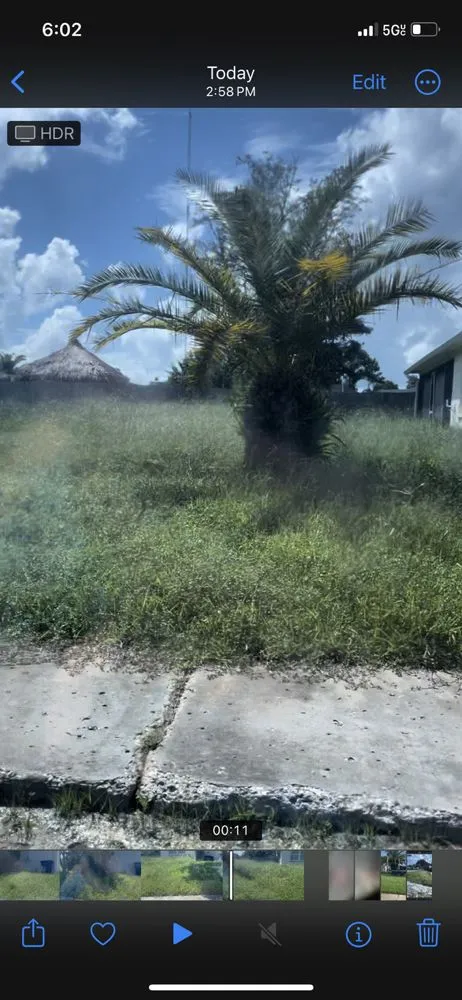Custom outdoor landscaping with custom design across NEW PRT RCHY, FL - Unique Kuts