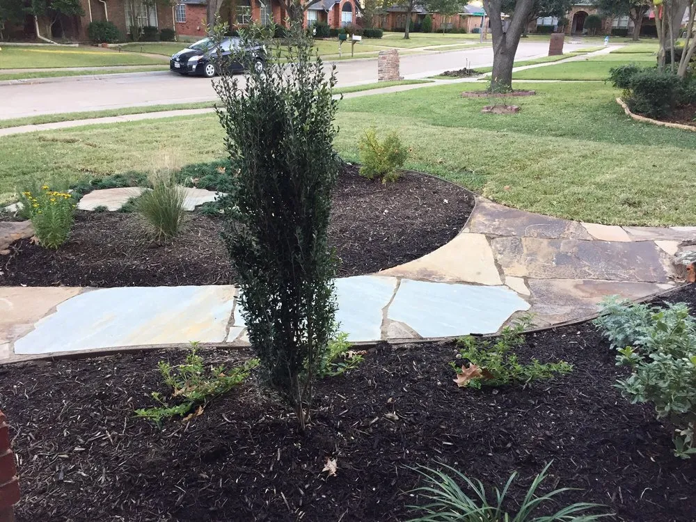 Reliable yard cleanup service experts serving Plano, TX - Unique Land Art