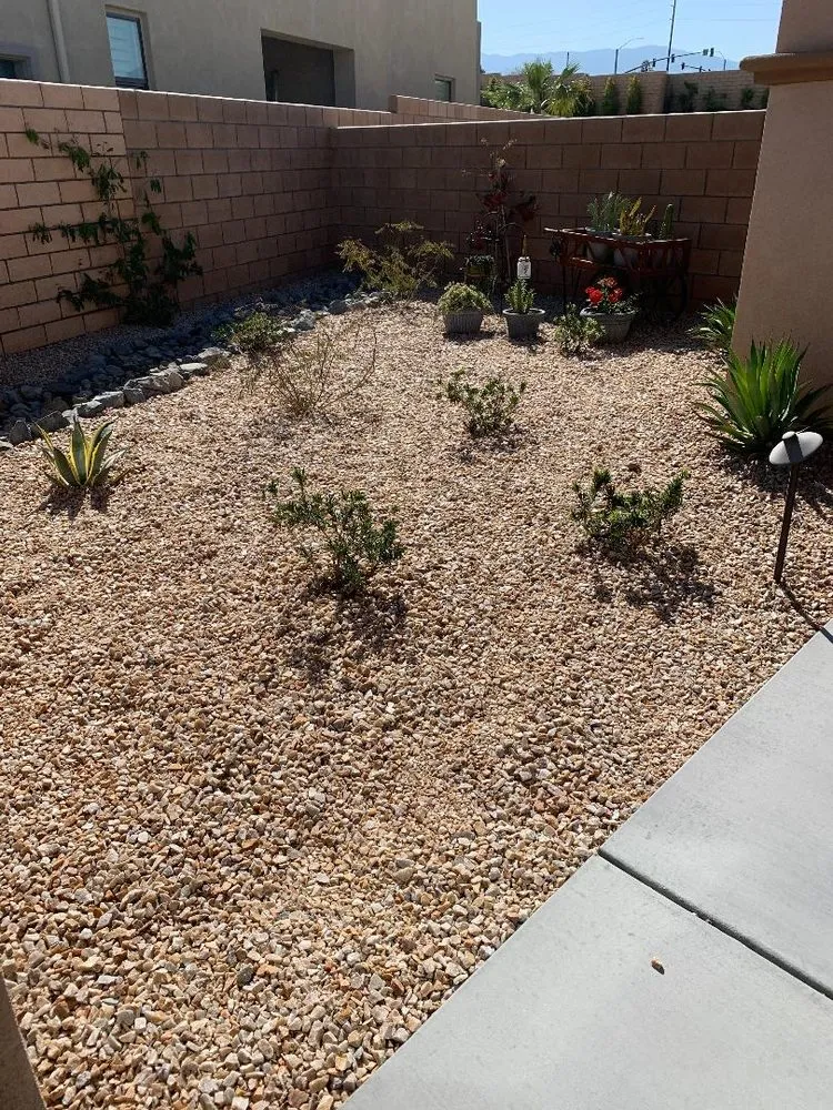 Local landscape design for beautiful yards in Thousand Palms, CA by Unique landcare