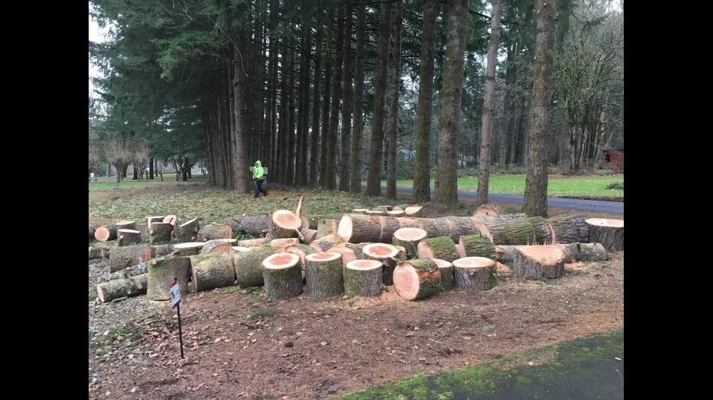 Professional outdoor landscaping for residential properties in Portland, OR by Unique Landscape & Construction