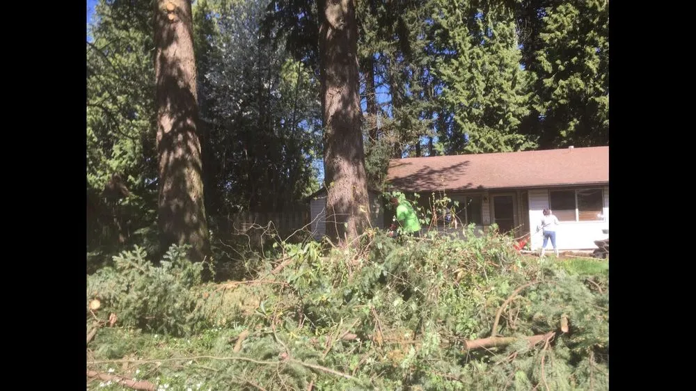 Local residential landscaping for homes across Portland, OR - Unique Landscape & Construction