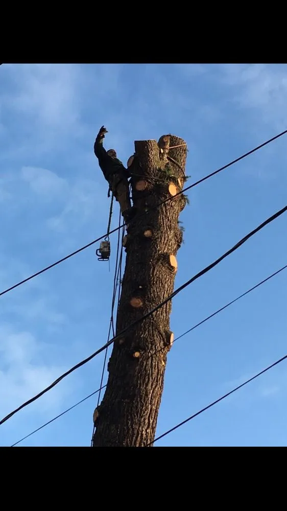 Top-rated yard cleanup service experts serving Portland, OR - Unique Landscape & Construction