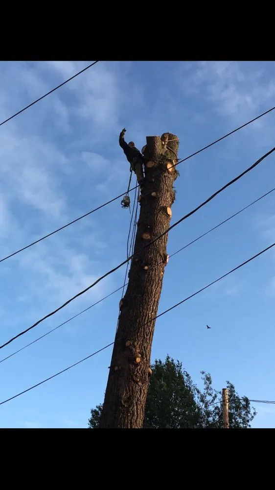 Trusted garden landscaping in Portland, OR - Unique Landscape & Construction