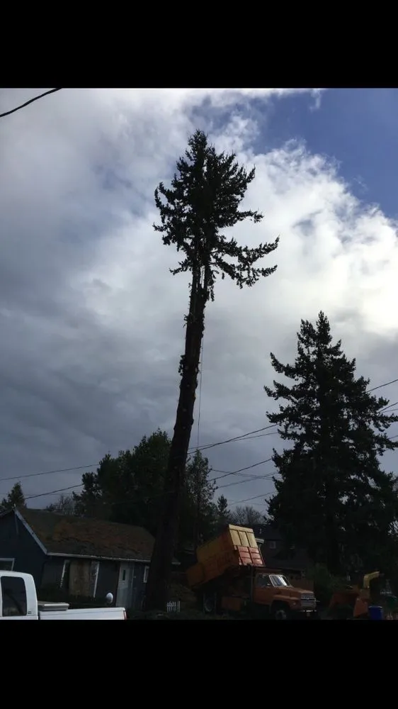 Local residential landscaping for year-round maintenance across Portland, OR - Unique Landscape & Construction