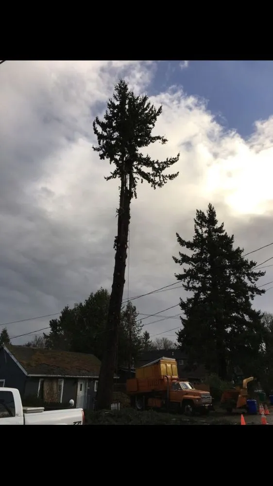 Top-rated landscape design with custom design in Portland, OR by Unique Landscape & Construction