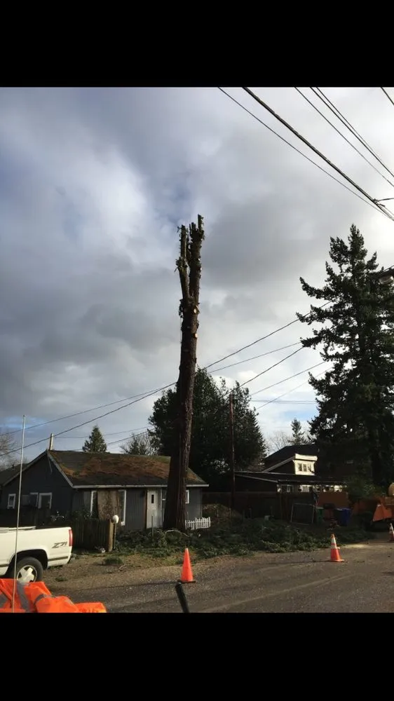 Professional yard maintenance in Portland, OR - Unique Landscape & Construction