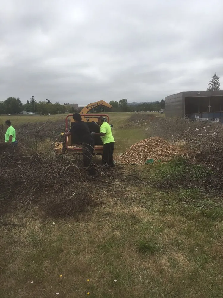 Custom lawn care service experts serving Portland, OR - Unique Landscape & Construction