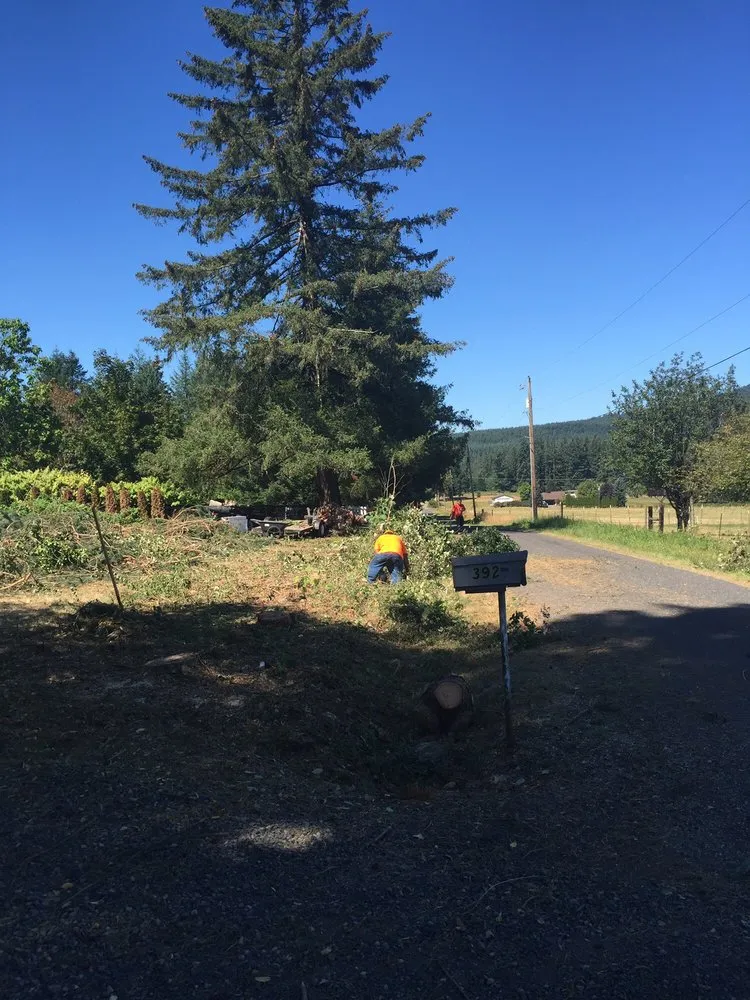 Top-rated yard maintenance experts serving Portland, OR - Unique Landscape & Construction