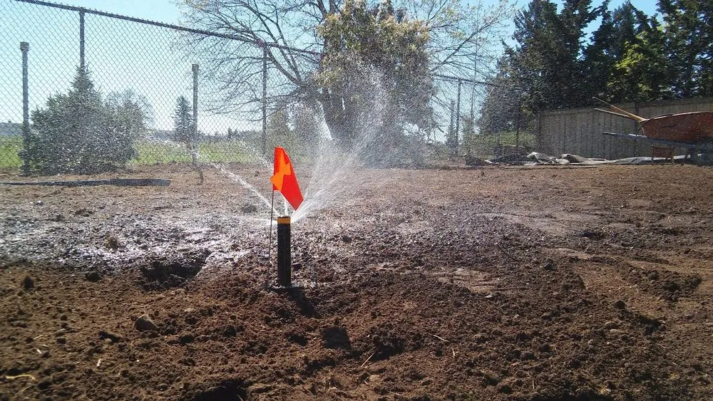 Expert lawn care service in Portland, OR - Unique Landscape & Construction