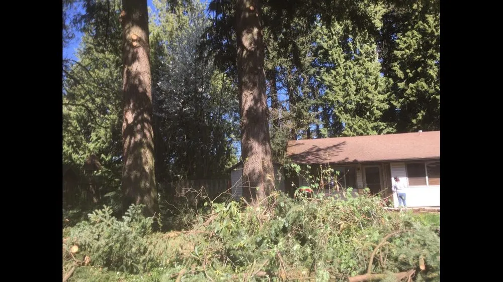 Reliable outdoor landscaping for residential properties across Portland, OR - Unique Landscape & Construction