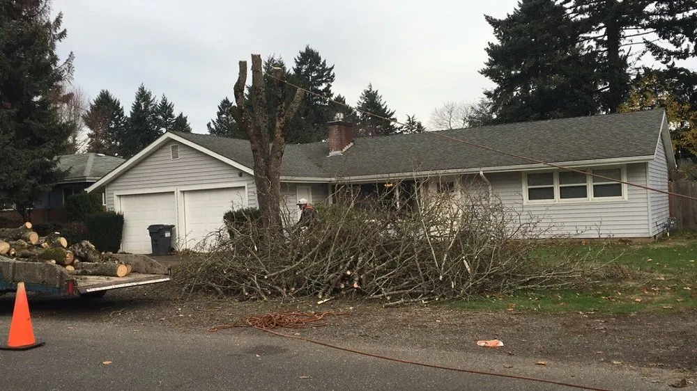 Top-rated lawn mowing service experts serving Portland, OR - Unique Landscape & Construction