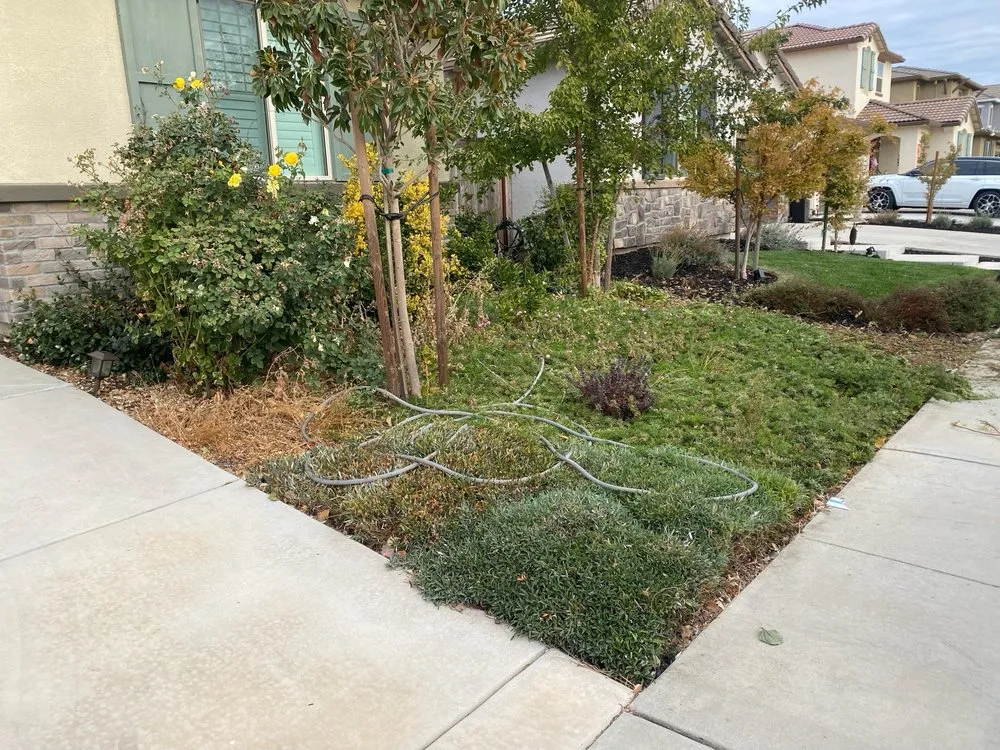 Top-rated lawn mowing service in Elk Grove, CA - Unique Landscape