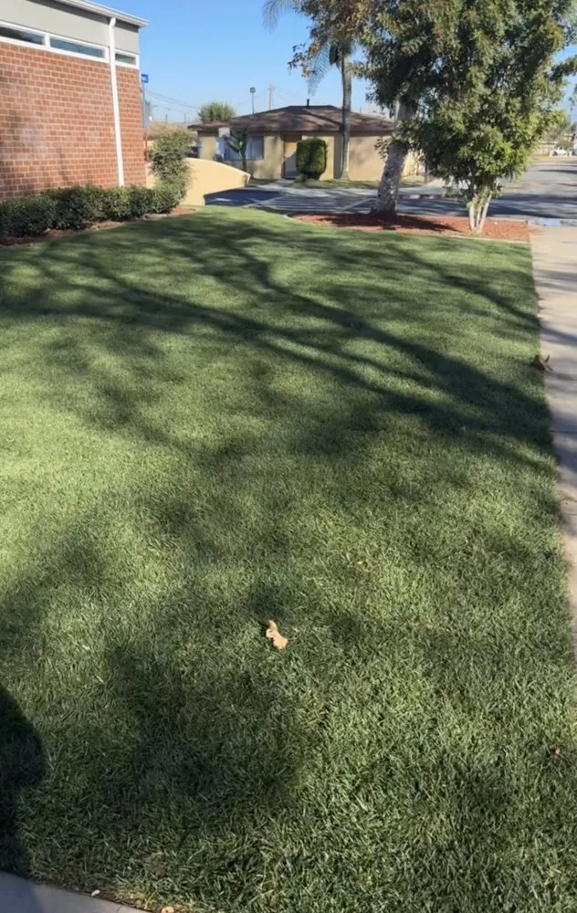 Top-rated landscaping services in Downey, CA by Unique Landscape Services