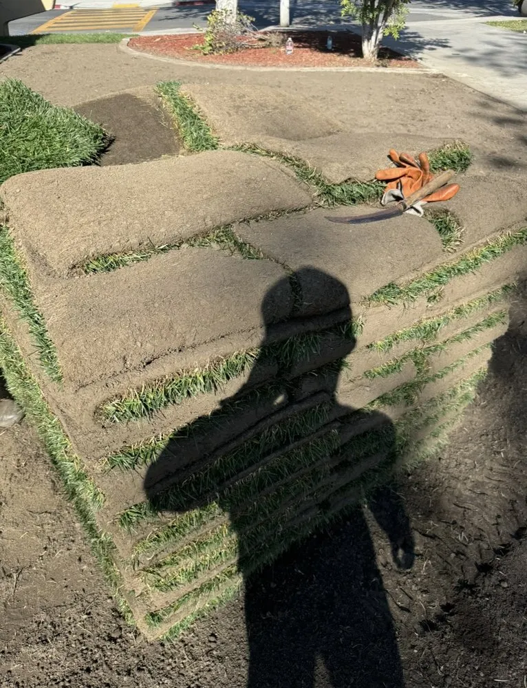 Top-rated landscape installation in Downey, CA - Unique Landscape Services