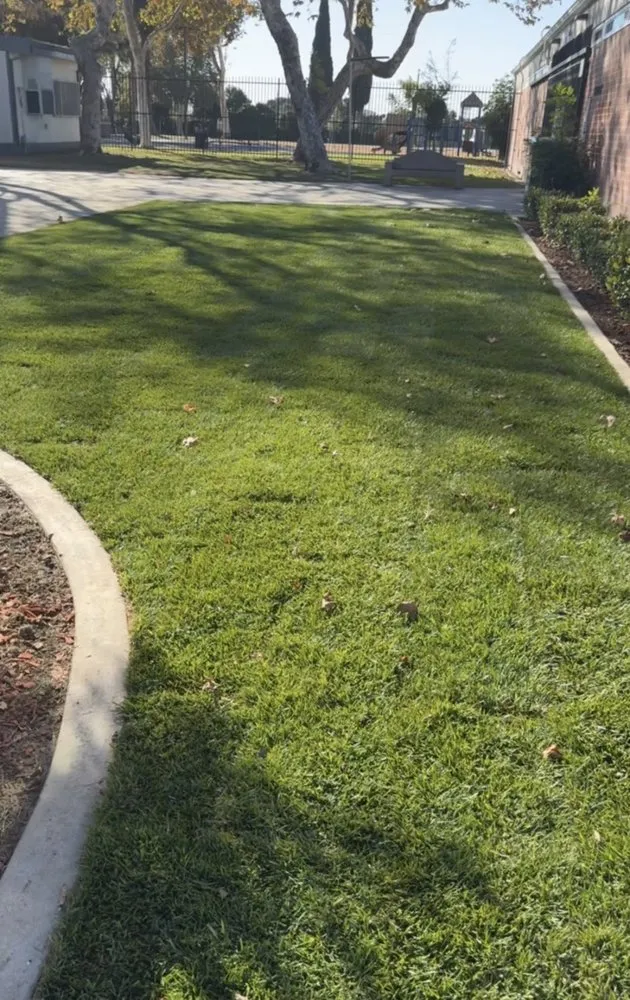 Local landscape design experts serving Downey, CA - Unique Landscape Services