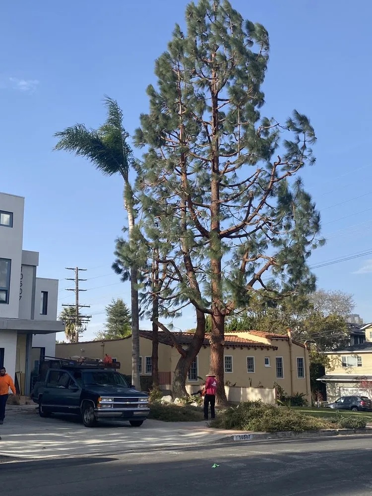 Custom residential landscaping in Downey, CA by Unique Landscape Services