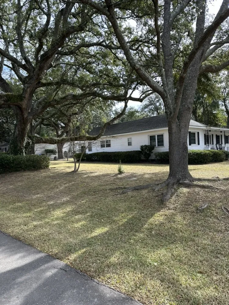 Reliable lawn mowing service for year-round maintenance in Goose Creek, SC by Unique Landscapes