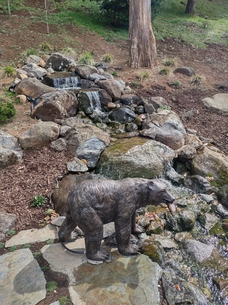 Professional yard cleanup service for residential properties across Nevada City, CA - Unique Landscapes