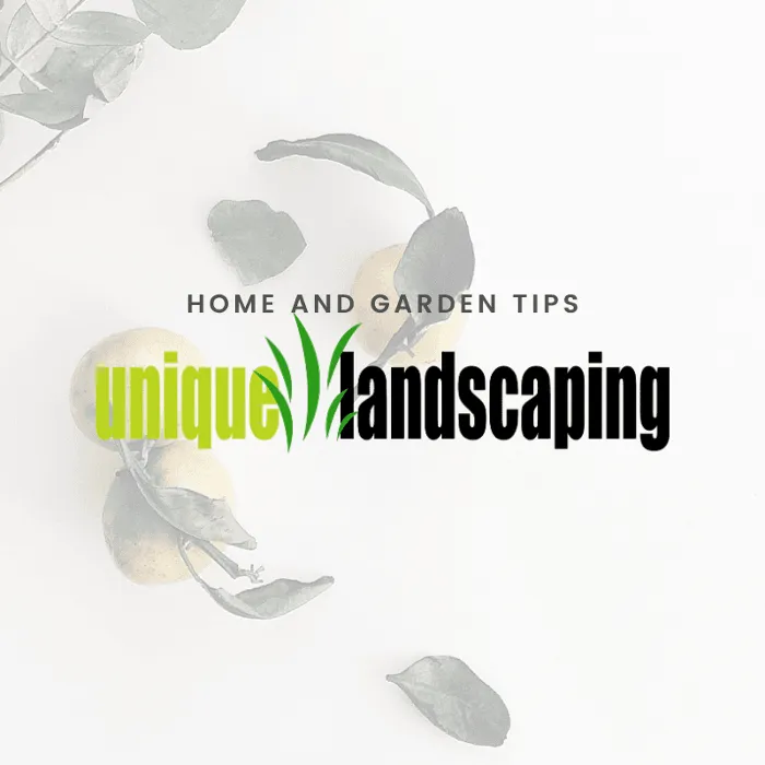 Professional lawn mowing service in Barstow, CA - Unique Landscaping