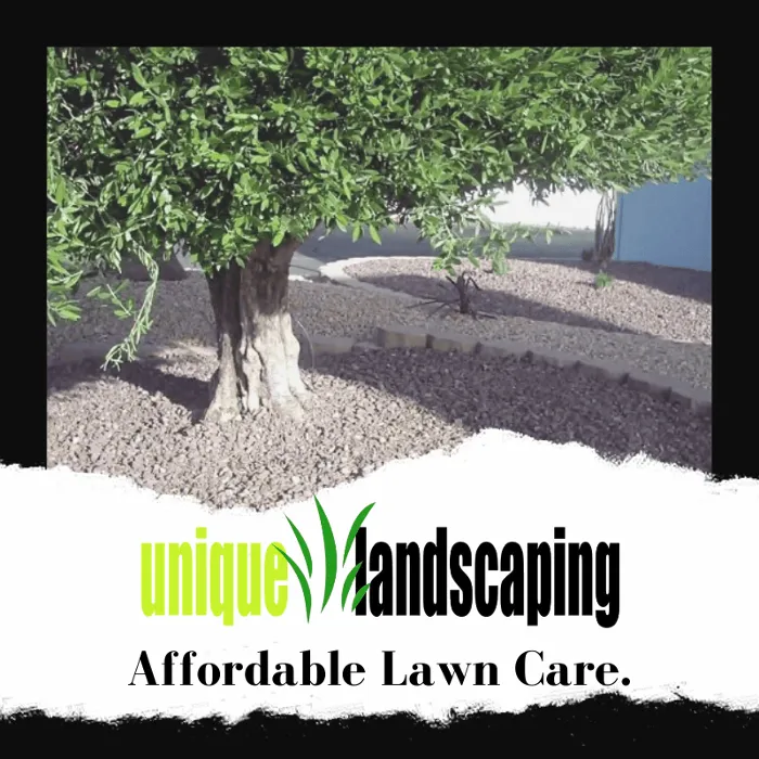 Affordable landscaping services for homes across Barstow, CA - Unique Landscaping