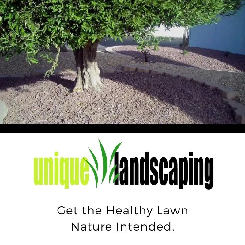 Local landscape installation experts serving Barstow, CA - Unique Landscaping