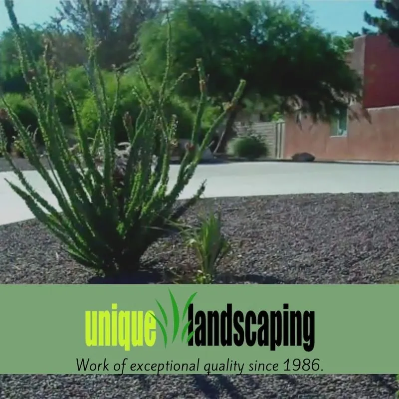Reliable landscape installation in Barstow, CA - Unique Landscaping