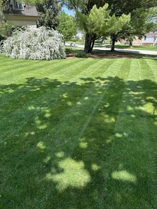 Professional landscape installation experts serving Biloxi, MS - Unique Landscaping