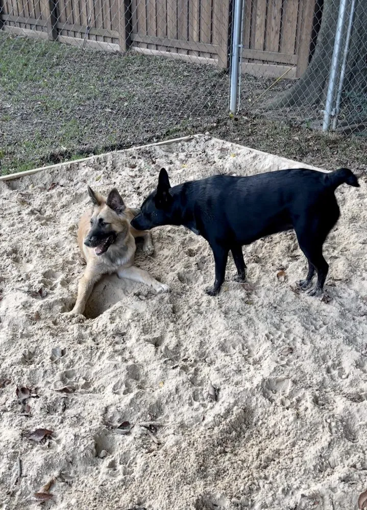 Reliable garden landscaping in Colleyville, TX by Unique Landscaping