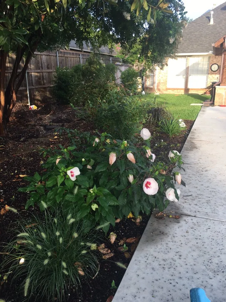 Top-rated landscape installation in Colleyville, TX by Unique Landscaping