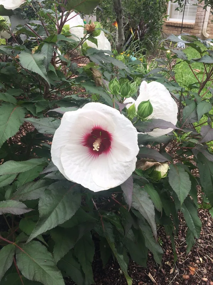 Reliable landscaping services experts serving Colleyville, TX - Unique Landscaping