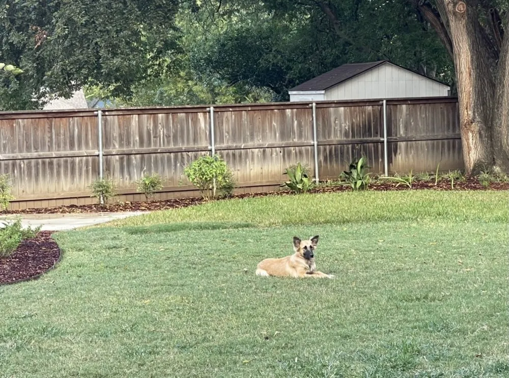 Custom lawn mowing service for homes across Colleyville, TX - Unique Landscaping