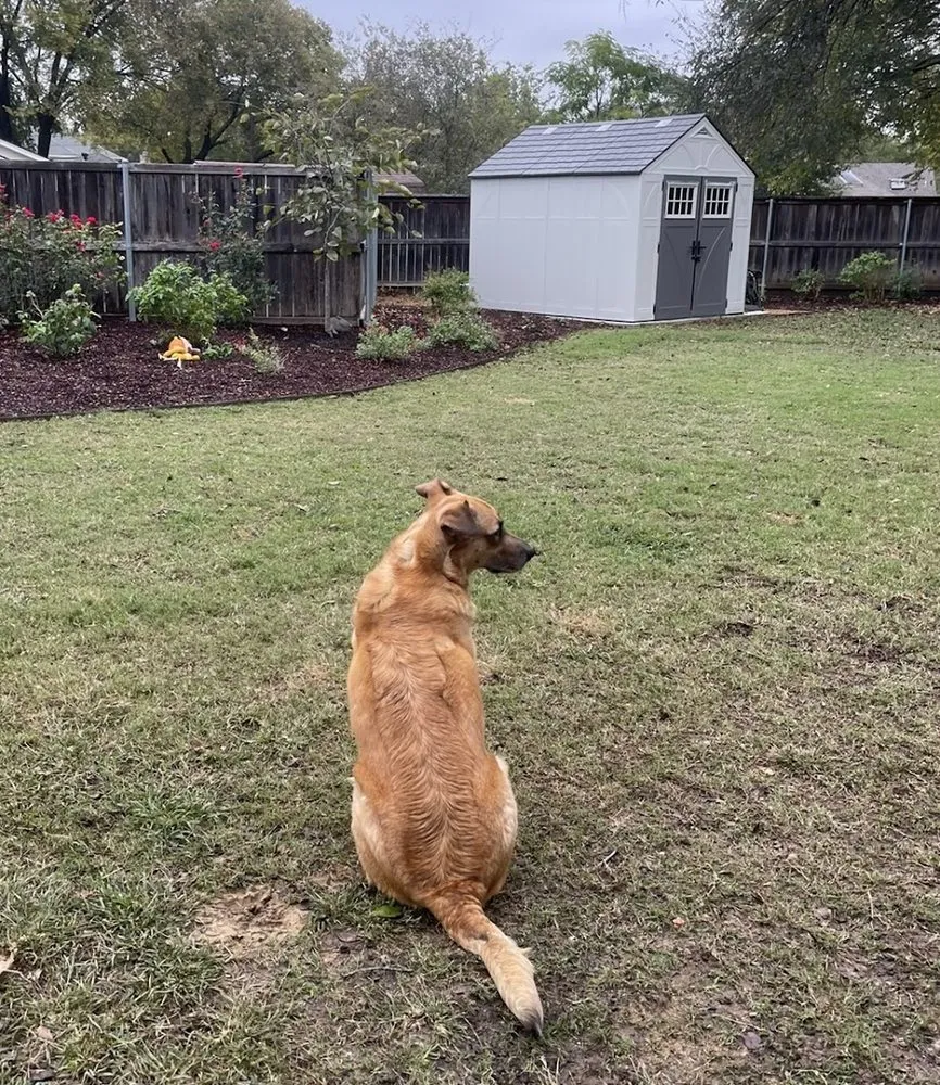 Expert landscape installation in Colleyville, TX by Unique Landscaping